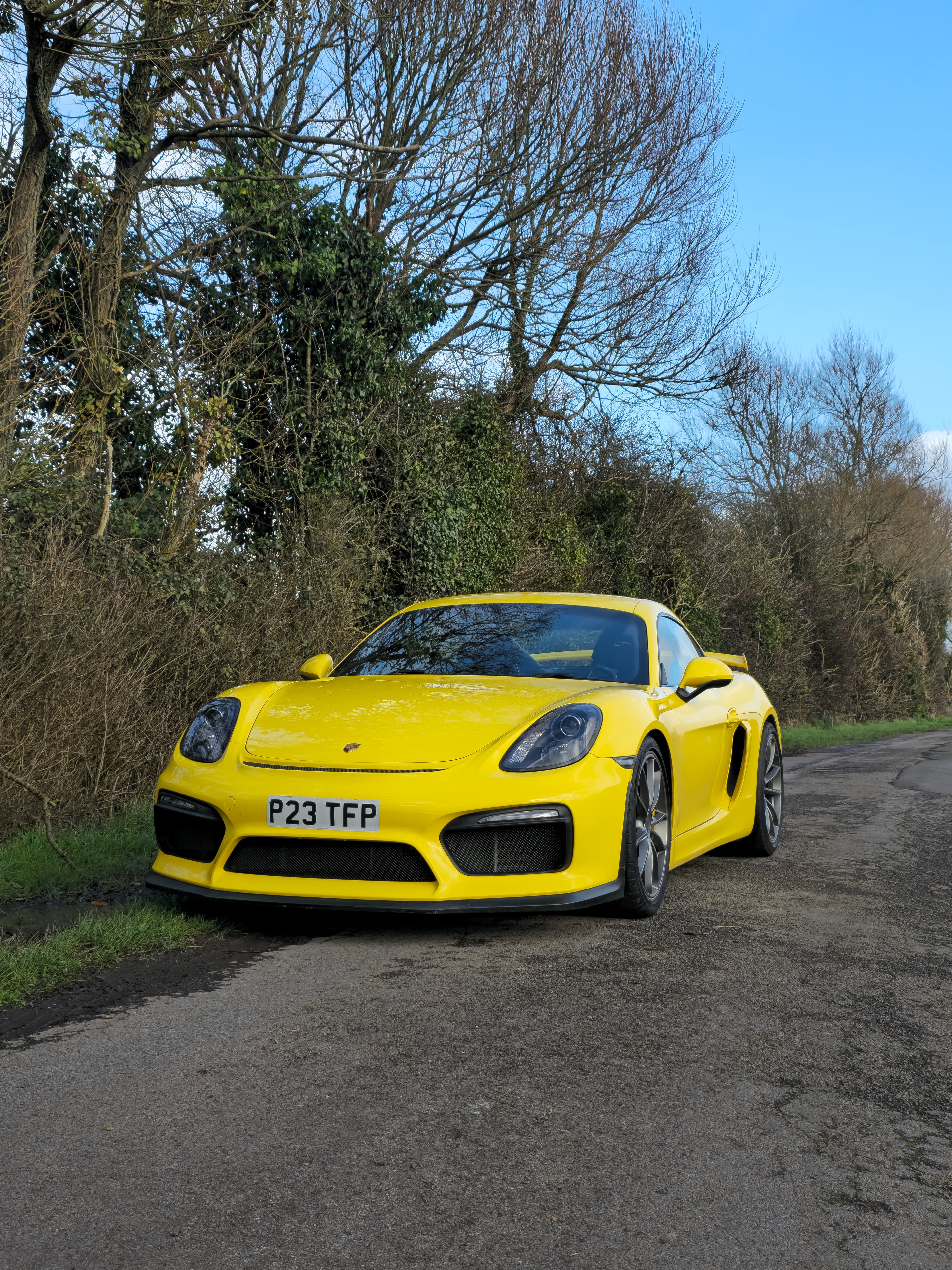 2016 Porsche Cayman 981 GT4